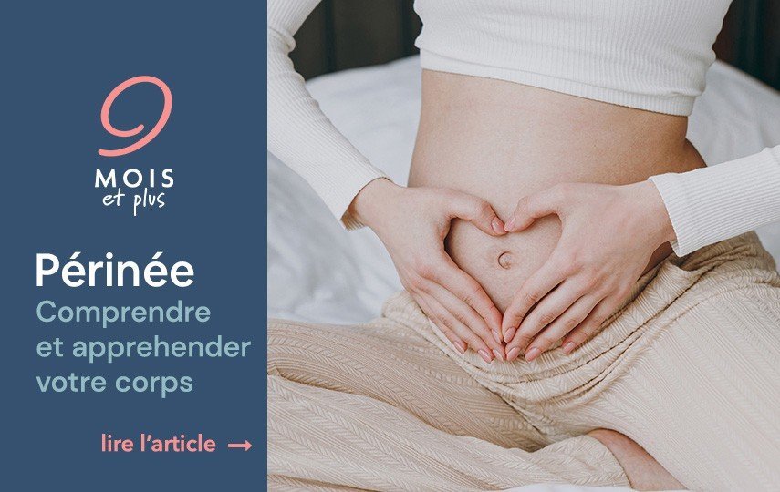 Qu’estce que le périnée ? 9moisetplus Qu’estce que le périnée ? 9moisetplus