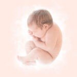 Le liquide amniotique