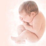 Le liquide amniotique