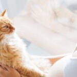 Toxoplasmose