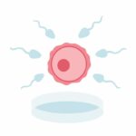 Les techniques d'assistance médicale à la procréation